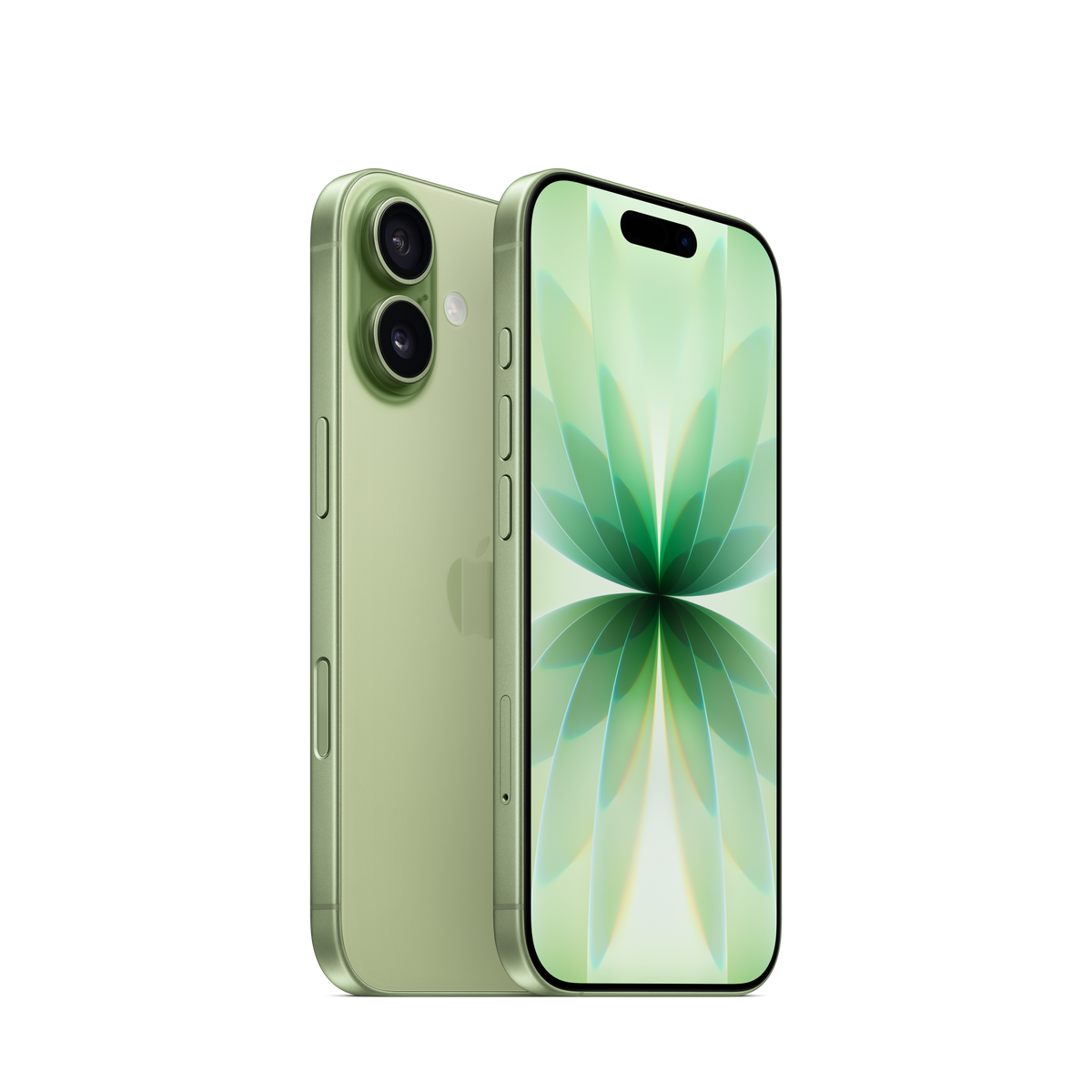 iPhone 17 · 256 ГБ · Sage · eSIM